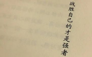 战胜挫折走向成功演讲稿6篇