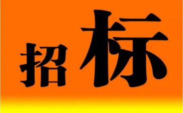 年招标工作总结5篇
