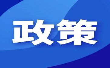双减政策工作计划8篇