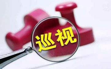 排查整改报告参考7篇