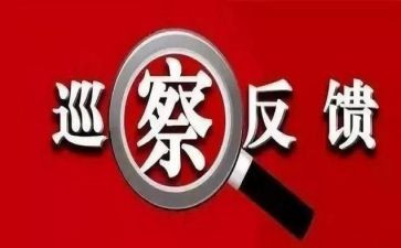 落实巡视整改报告8篇