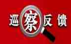 落实巡视整改报告8篇