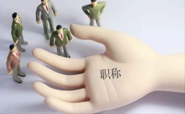 正高级工程师工作总结范文6篇