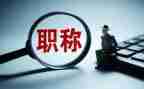 教师正高级工作总结7篇