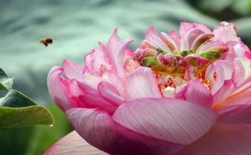 珍贵友情作文5篇