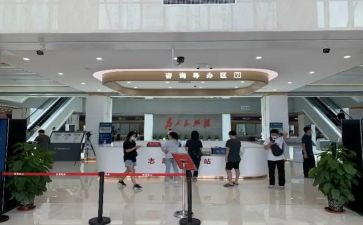政务服务工作总结2023最新6篇
