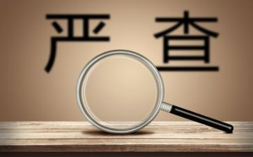 整治工作总结推荐8篇