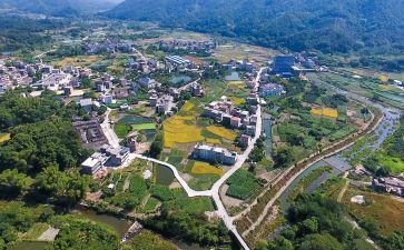乡村振兴心得参考7篇