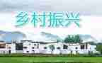 2024年乡村振兴调研报告通用6篇