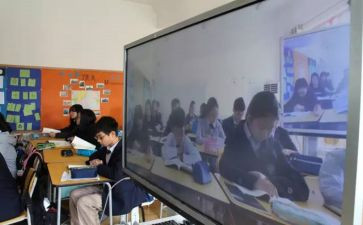 看2024直播观后感5篇