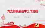 镇直支部换届工作总结5篇