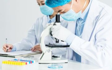 抓质量的心得体会模板5篇