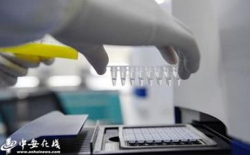 质量部年度总结5篇