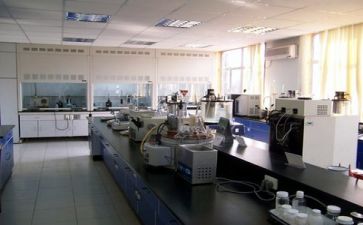 质量站工作总结7篇
