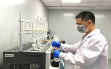 质量站工作总结最新8篇