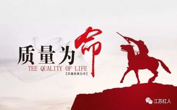 个人质量年终总结5篇
