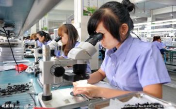 质量师年终总结8篇