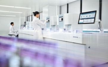 质量活动总结报告范文5篇