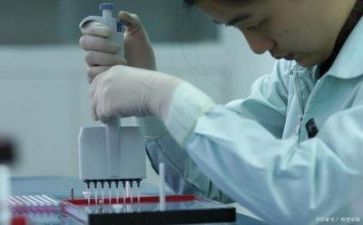质量活动的总结报告7篇