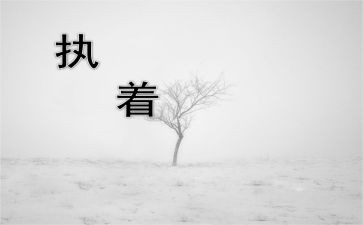 我追求的执着作文600字7篇