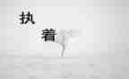 我追求的执着作文600字7篇