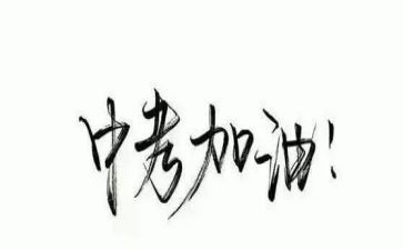 数学中考的心得体会5篇