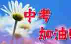 写中考体育的作文5篇
