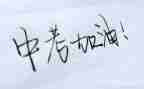 作文中考范文最新7篇