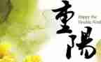 重阳节活动方案和总结7篇