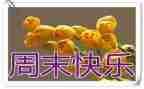 我的周末英语版作文精选8篇