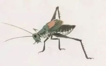 绿色蝈蝈读后感5篇