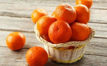 橘子小作文300作文7篇