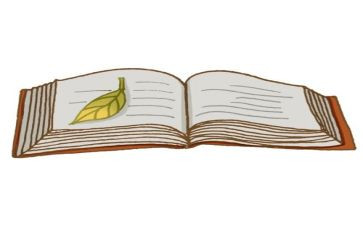 子衿读后感800字通用6篇