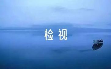 学校自检工作报告5篇