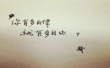 财务廉洁自律述职报告8篇