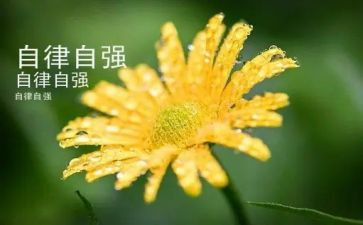 自立自强心得体会5篇