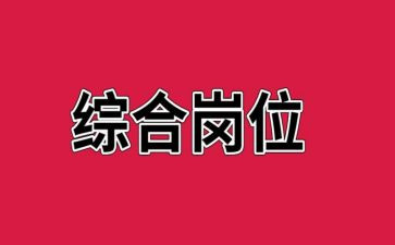 综合岗年度工作总结8篇