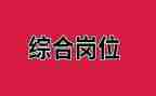 综合岗年度工作总结8篇