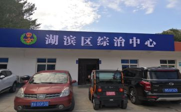 乡镇综治工作个人总结8篇