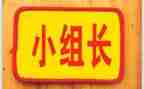 竞选班级组长演讲稿7篇