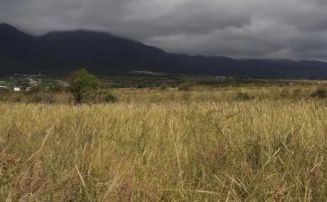 自住房租赁合同优质5篇