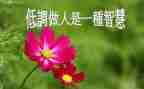 做人事的月工作计划参考6篇
