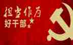 敢作为敢担当心得体会7篇