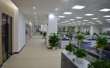 乡镇组织室工作总结5篇